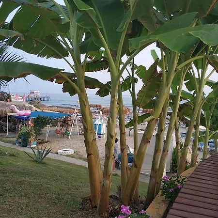 Apartment Oba Alanya